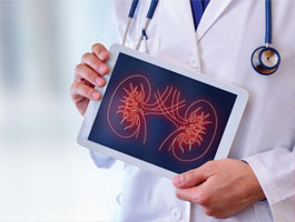 Urologo Fornovo Andrologo
